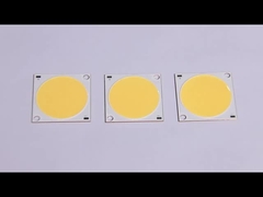 Chip della PANNOCCHIA