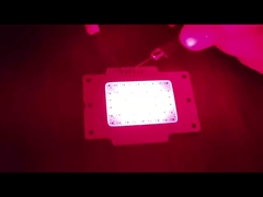 COB LED CHIP 15W LED COB per la terapia luce LED